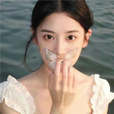 宝嘉先生